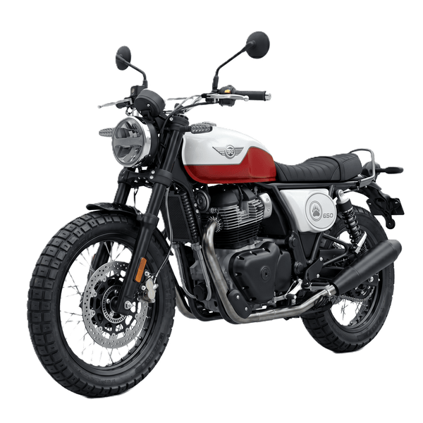 bear 650