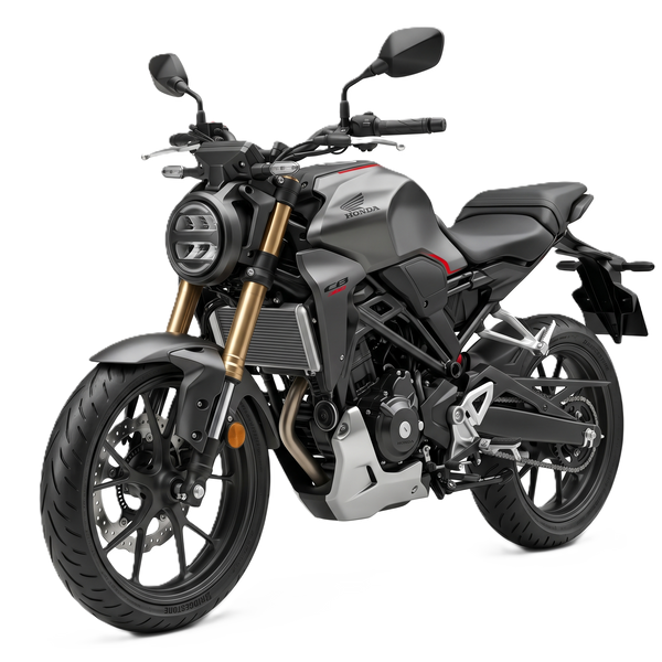 CB 300