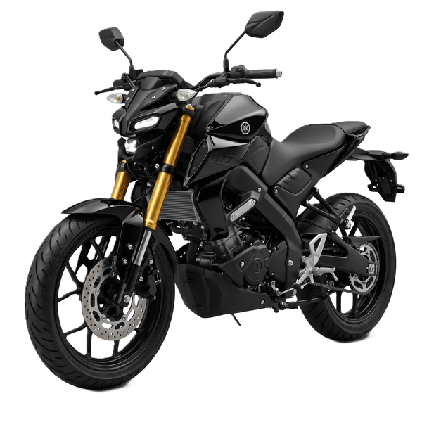 MT 15